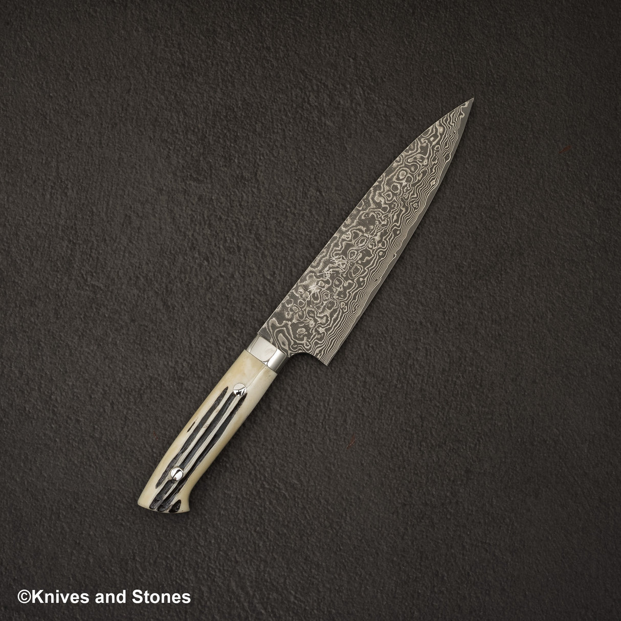 Takeshi Saji SG2 Black Damascus Gyuto 180mm Stag Handle