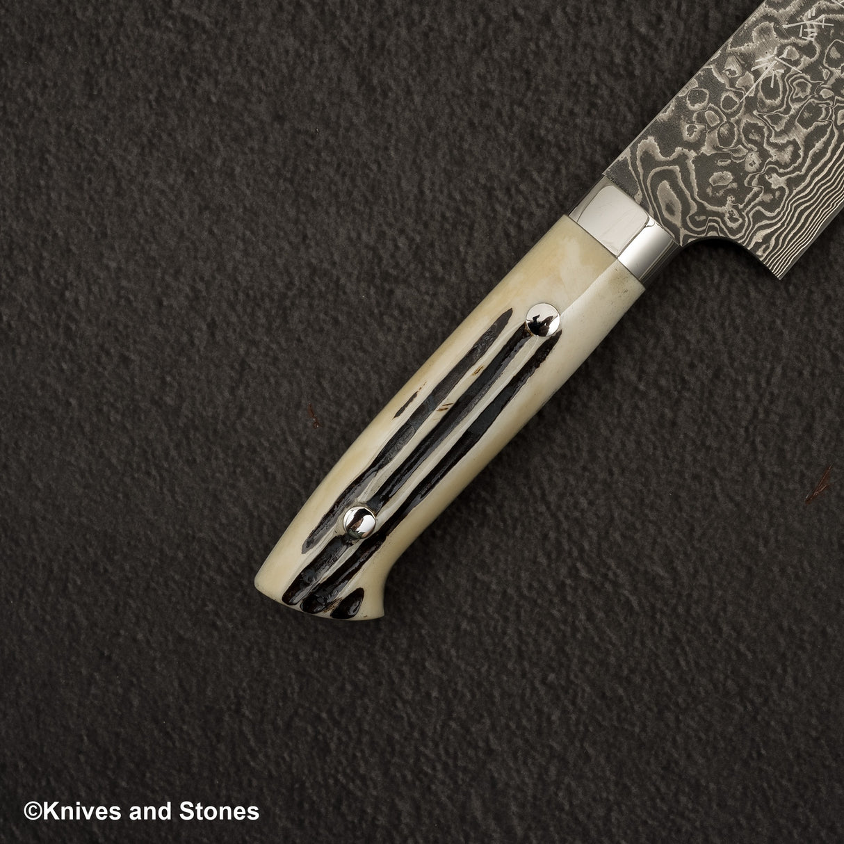 Takeshi Saji SG2 Black Damascus Gyuto 180mm Stag Handle