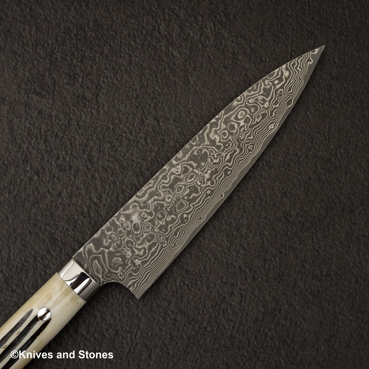 Takeshi Saji SG2 Black Damascus Gyuto 180mm Stag Handle