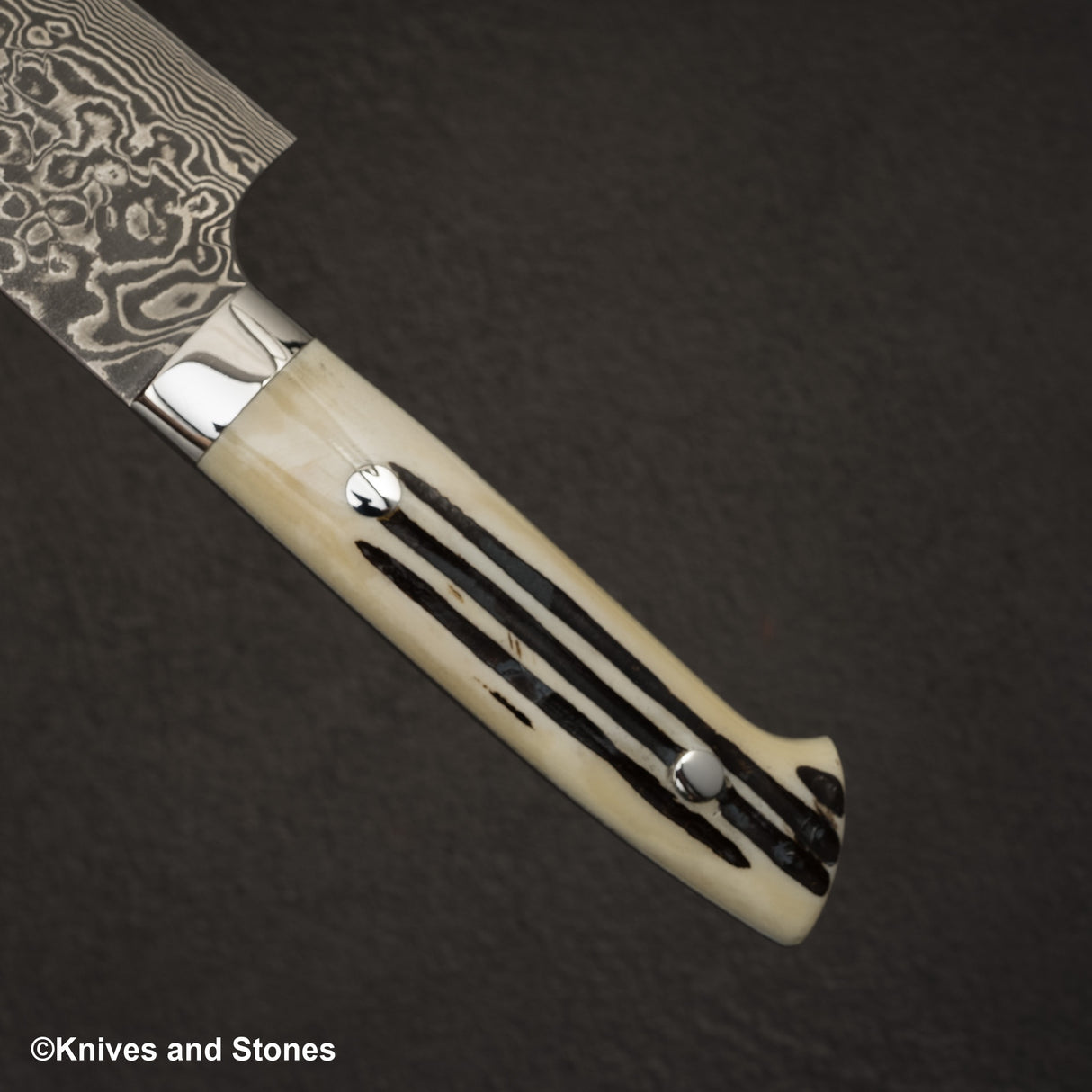 Takeshi Saji SG2 Black Damascus Gyuto 180mm Stag Handle