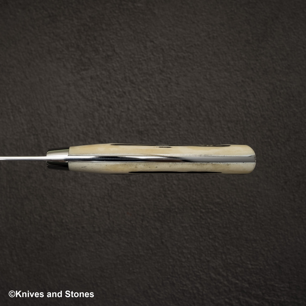 Takeshi Saji SG2 Black Damascus Gyuto 180mm Stag Handle