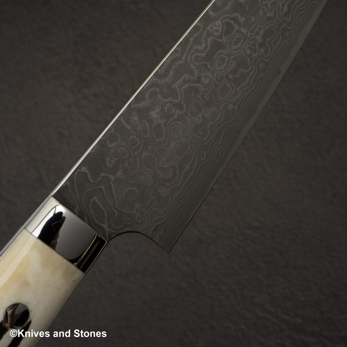 Takeshi Saji SG2 Black Damascus Gyuto 180mm Stag Handle
