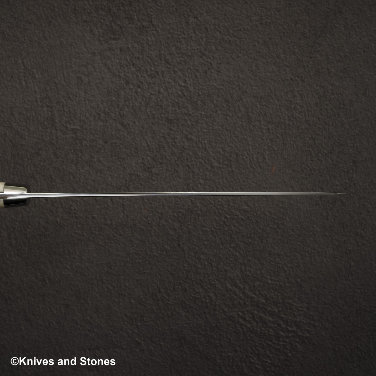 Takeshi Saji SG2 Black Damascus Gyuto 180mm Stag Handle