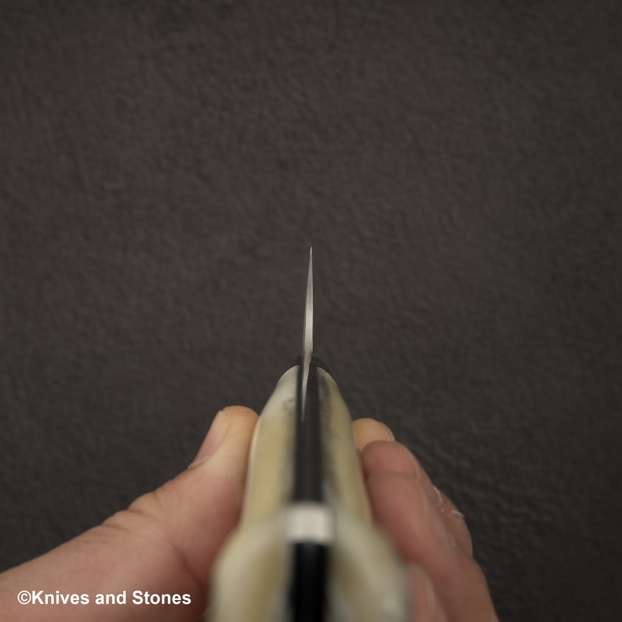 Takeshi Saji SG2 Black Damascus Gyuto 180mm Stag Handle