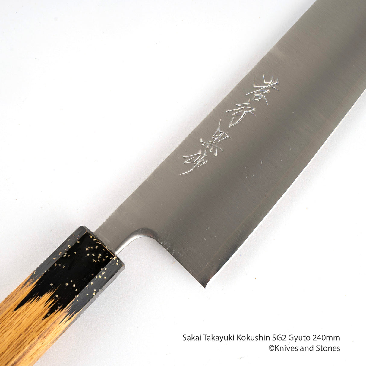 堺貴之 國信 SG2 Gyuto 240mm