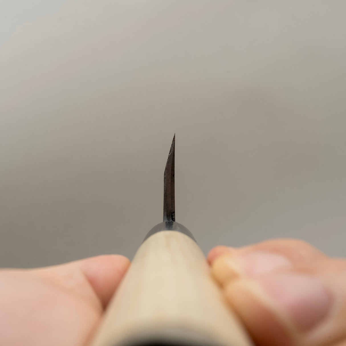 堺貴之 白 2 德城出羽 150mm