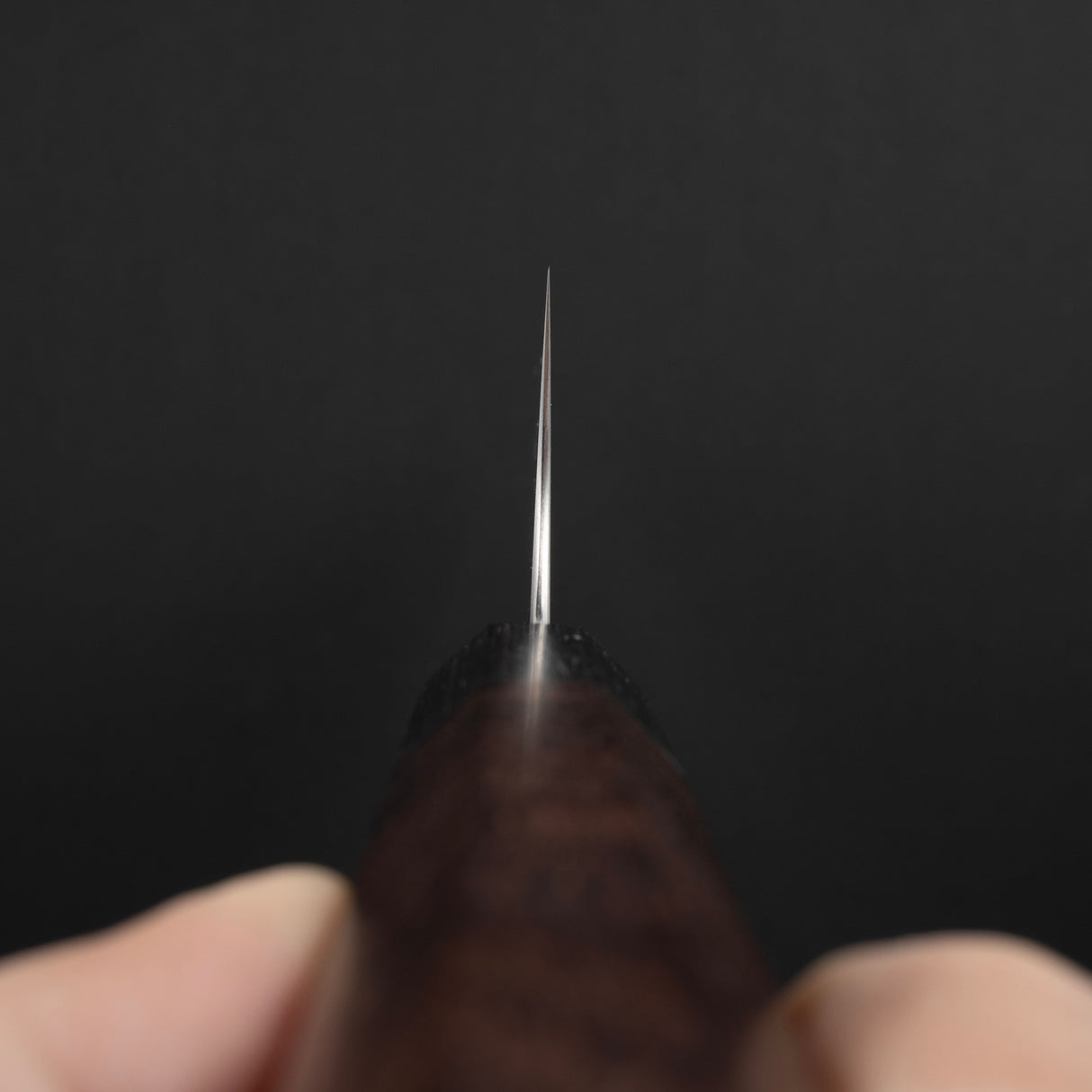 Shibata Koutetsu SG2 K-tip Gyuto 210mm