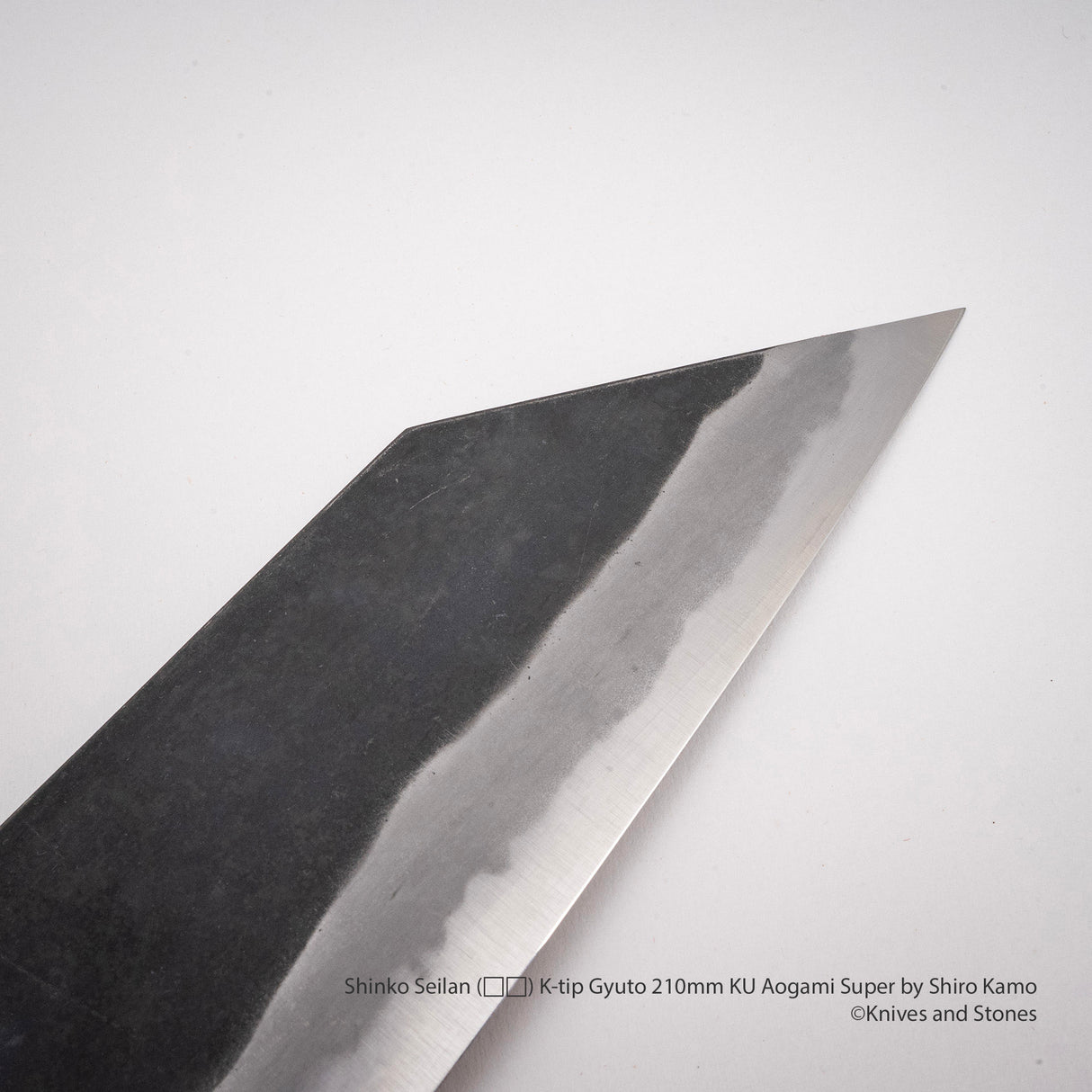 Shinko Seilan (青嵐) K-tip Gyuto 210mm KU Aogami Super by Shiro Kamo