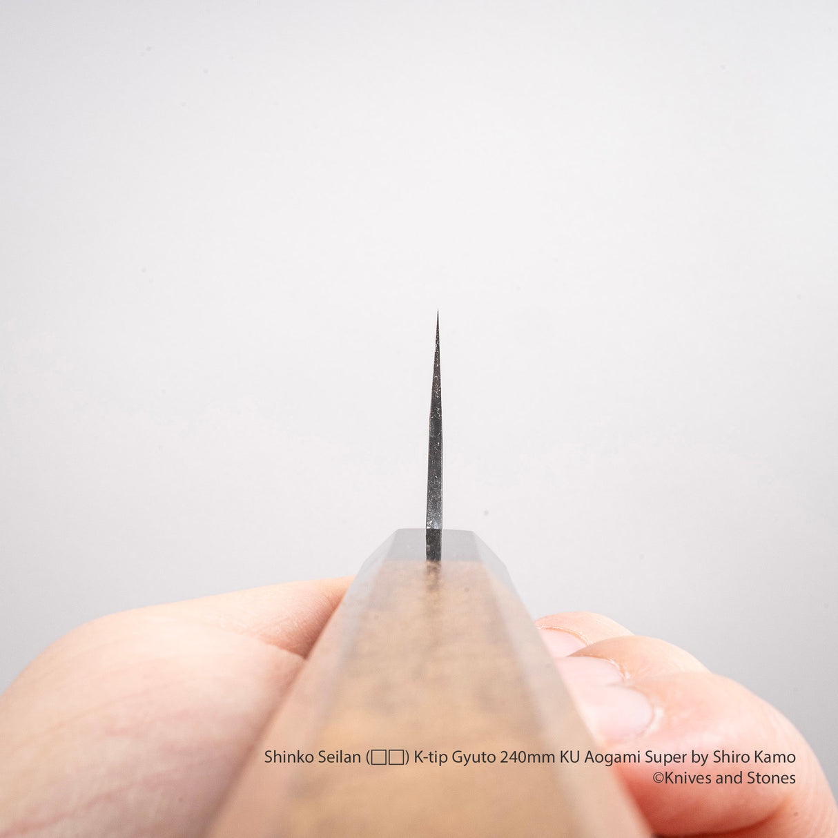 Shinko Seilan (青嵐) K-tip Gyuto 240mm KU Aogami Super by Shiro Kamo