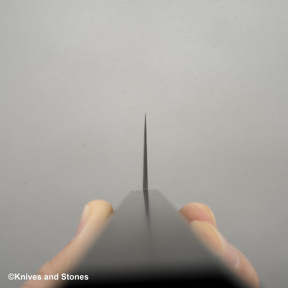 加茂白黑雲 SG2 黑大馬士革三德刀 170mm 烏木柄