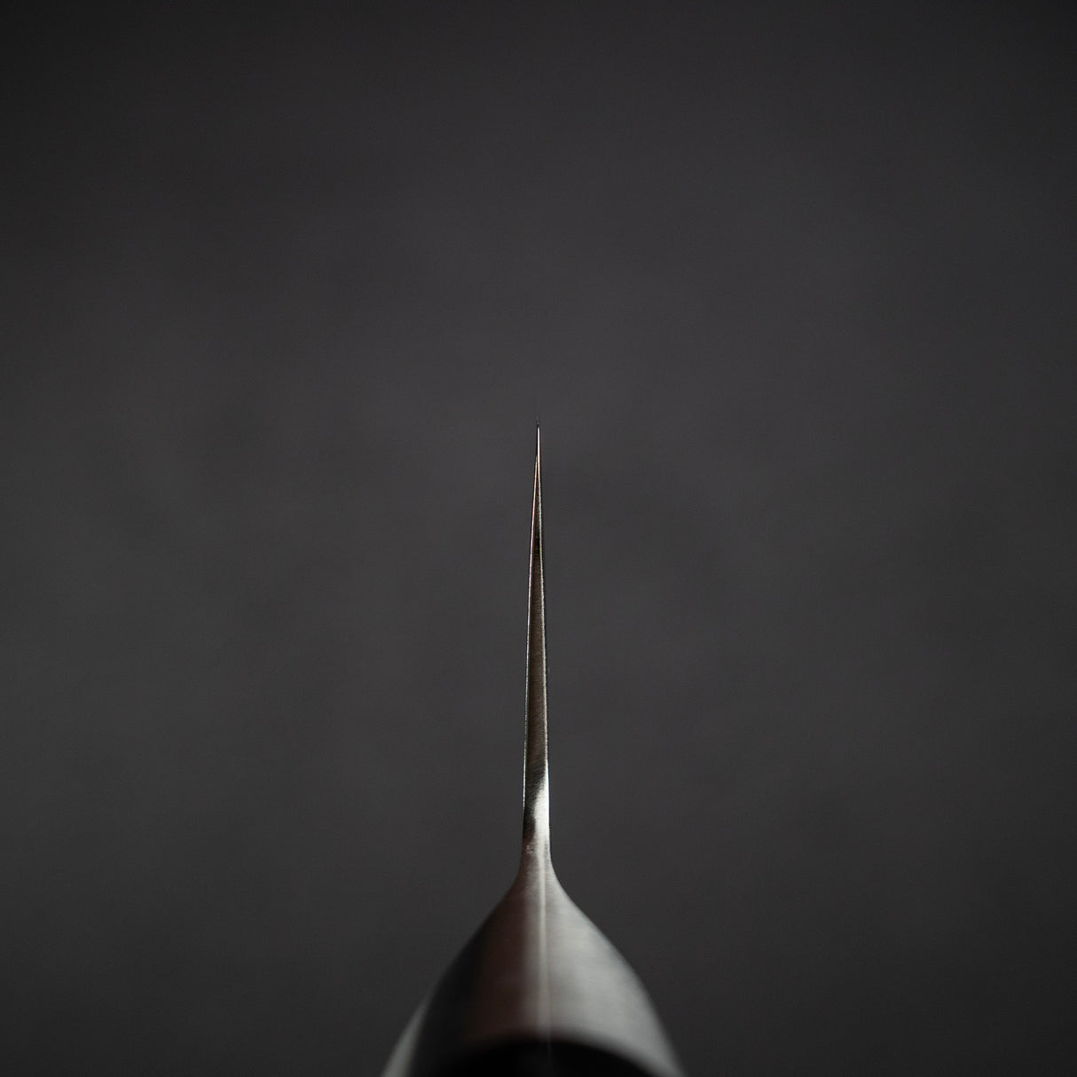 Shun Classic Santoku Knife 18cm (7")