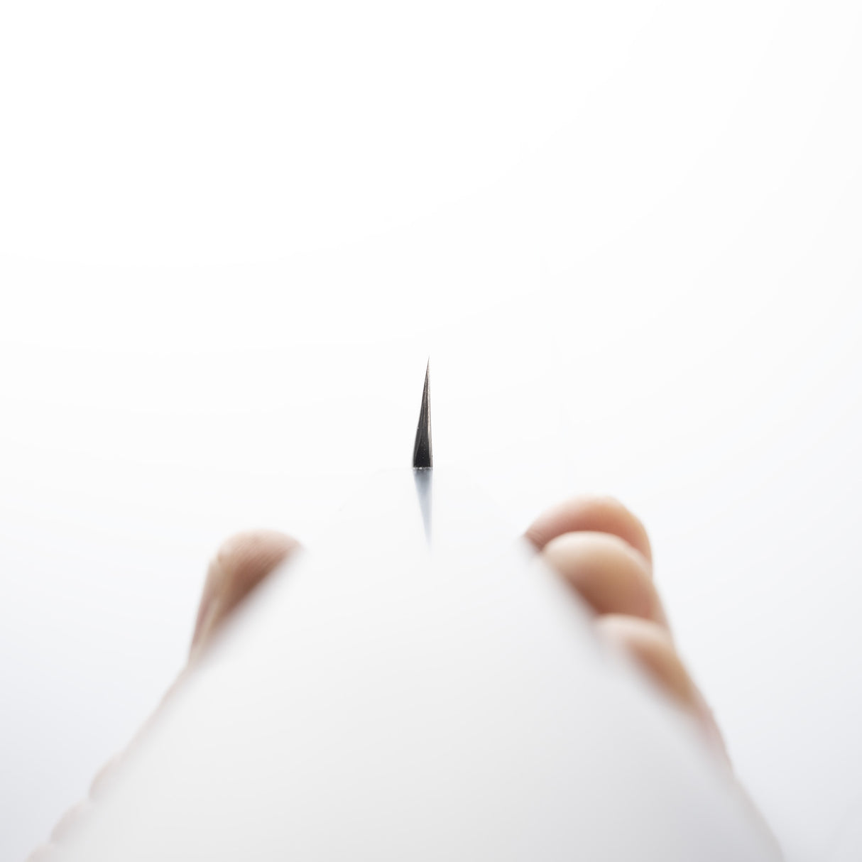 Sukenari SG2 Yanagiba 240mm Mirror Polish