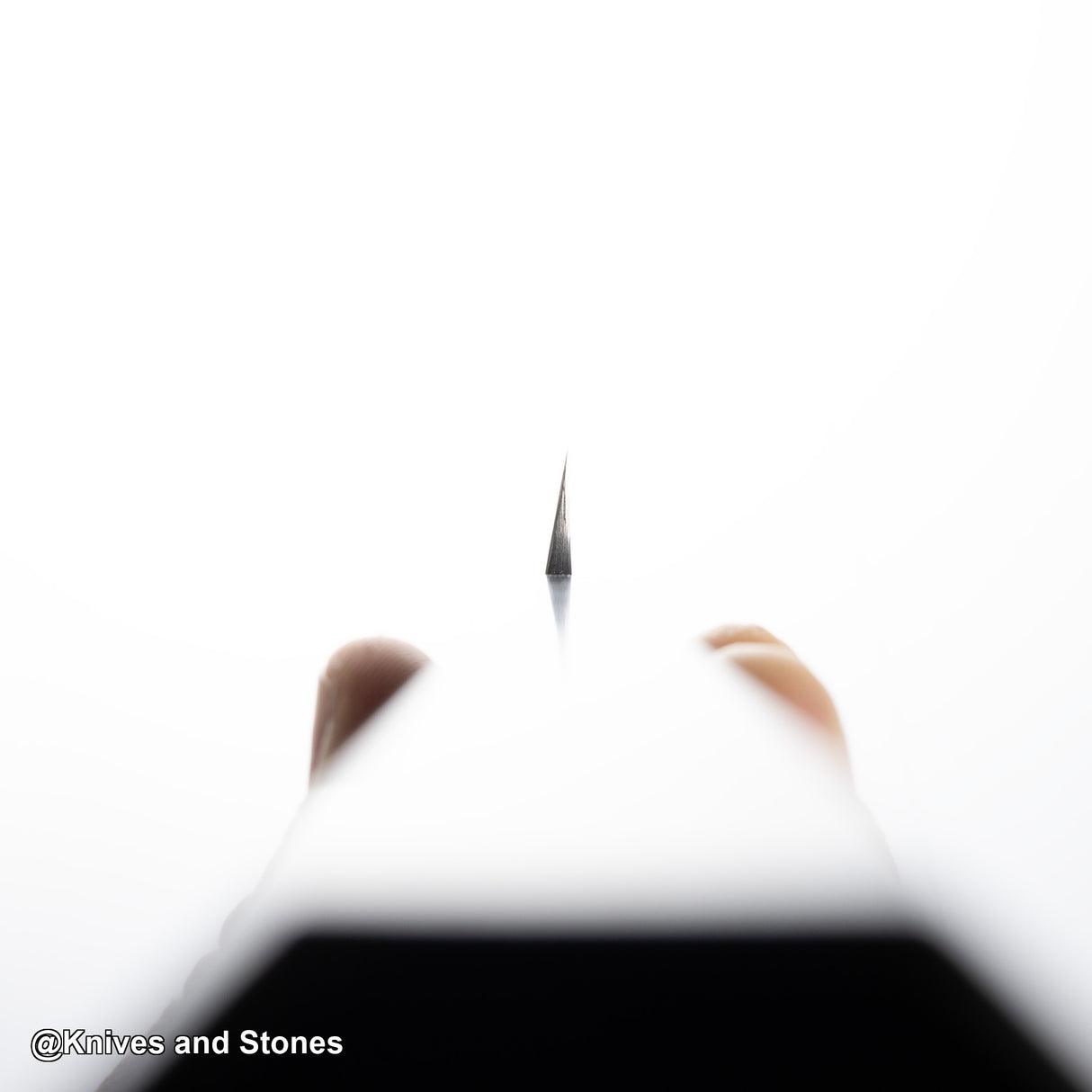 Sukenari SG2 Yanagiba 270mm Mirror Polish with Saya Ni-Mai (2-Layer)