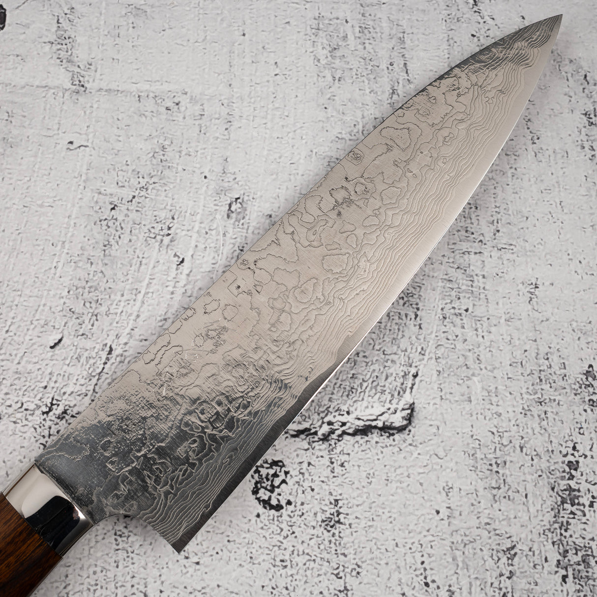 Takeshi Saji SG2 Diamond Damascus Gyuto 210mm Ironwood