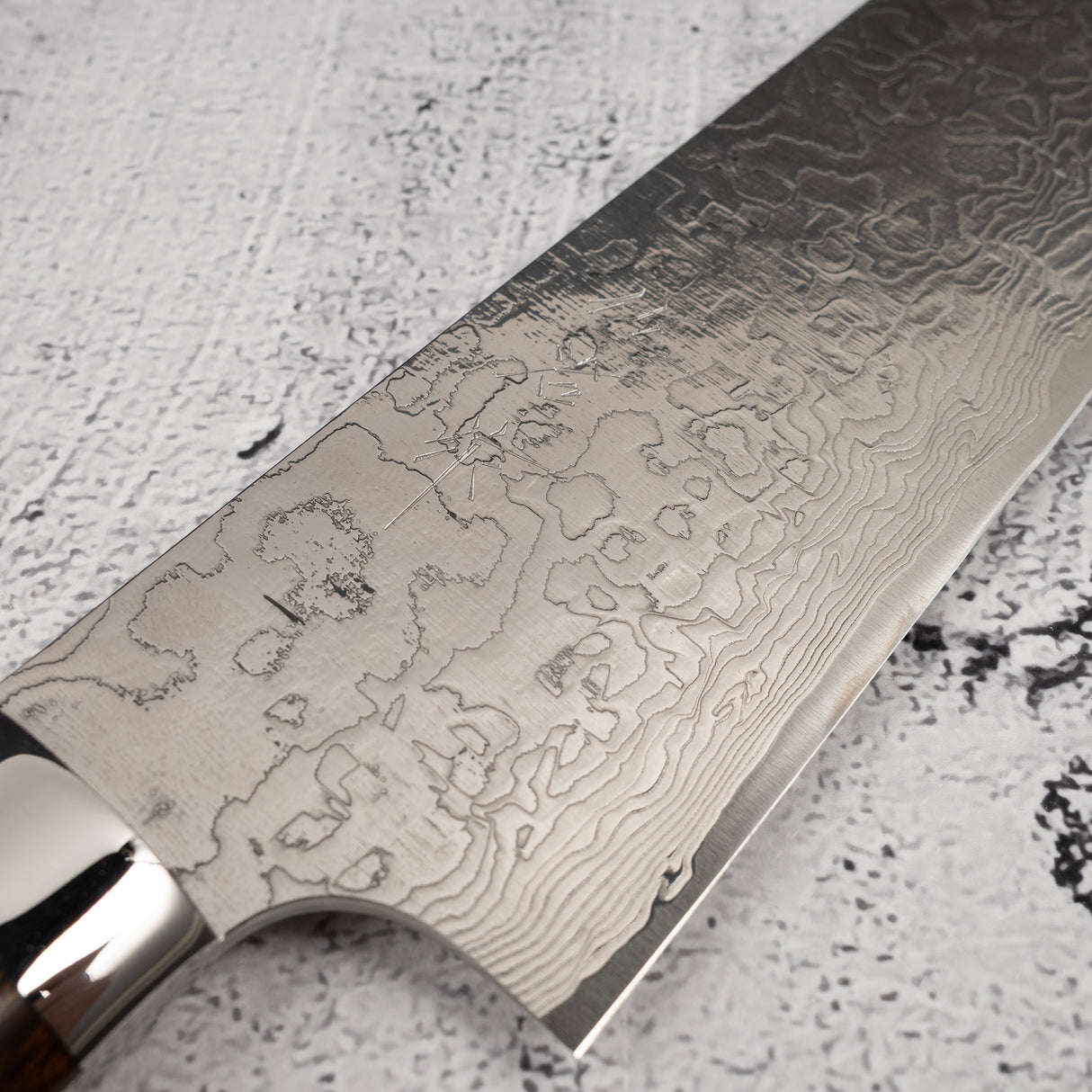 Takeshi Saji SG2 Diamond Damascus Gyuto 210mm Ironwood