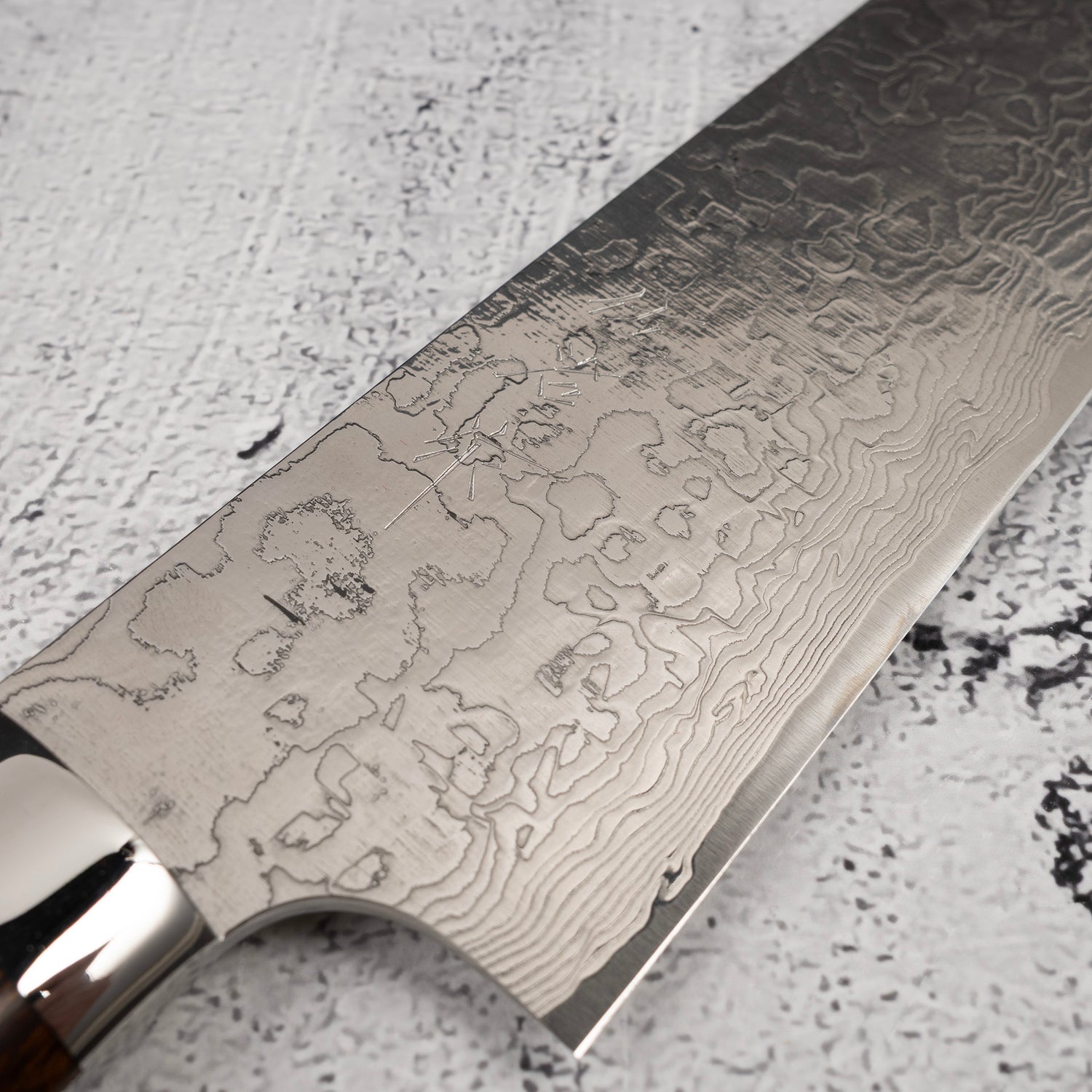 Takeshi Saji SG2 Diamond Damascus Gyuto 210mm Ironwood