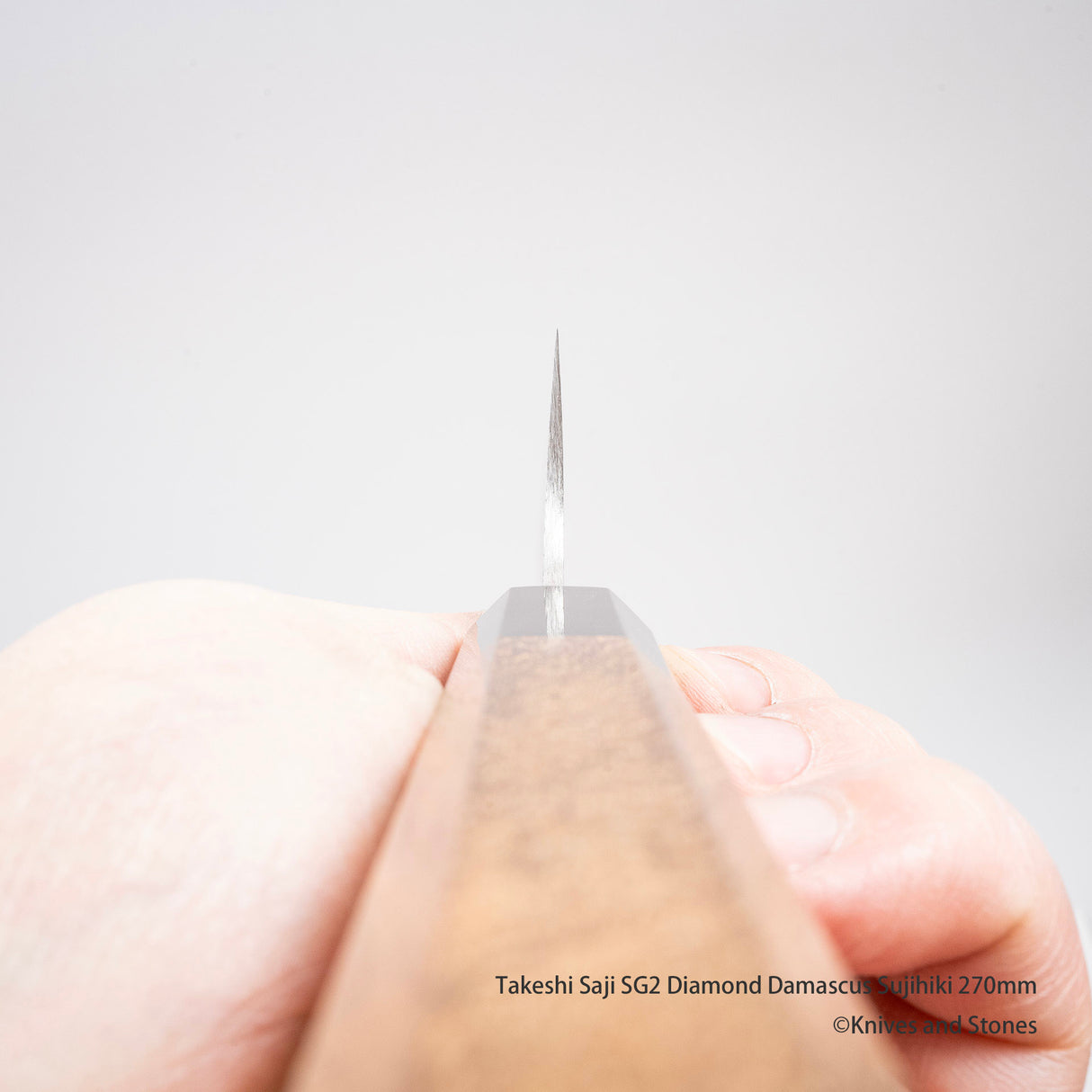 Takeshi Saji SG2 鑽石大馬士革 Sujihiki 270mm