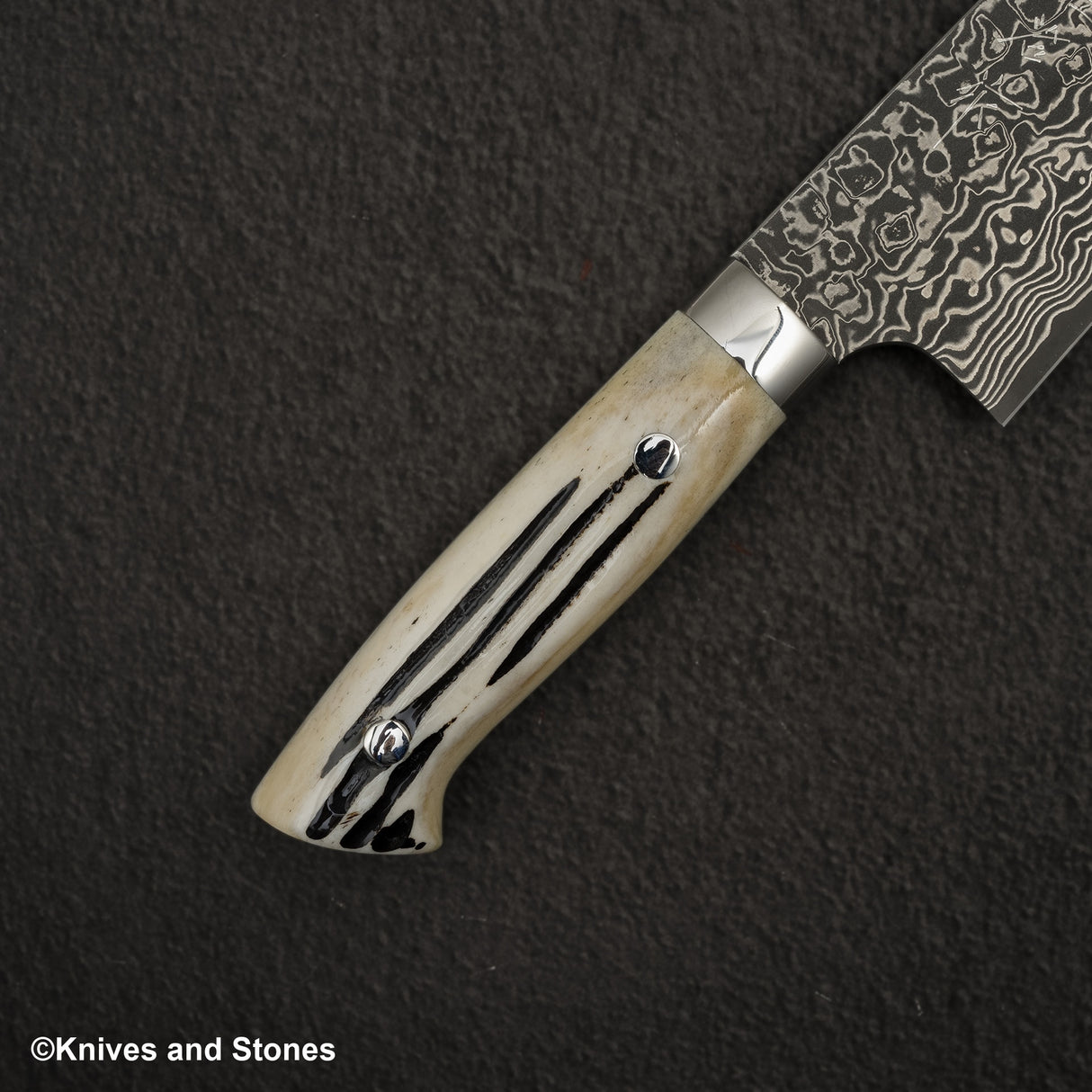 Takeshi Saji SG2 Black Damascus Santoku 180mm Stag Handle