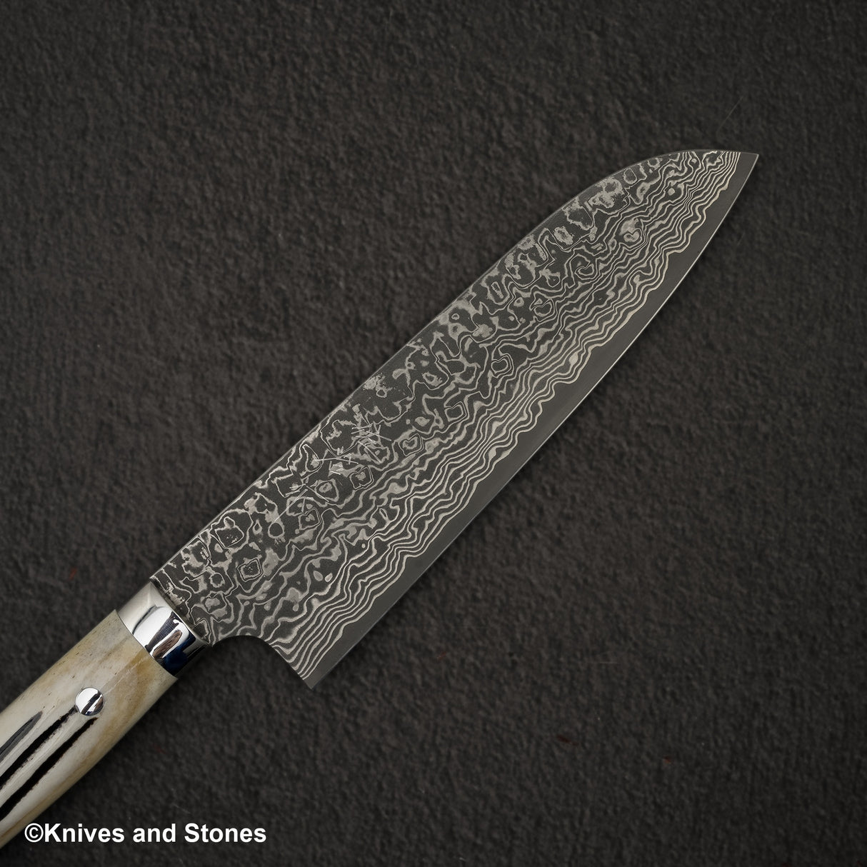 Takeshi Saji SG2 Black Damascus Santoku 180mm Stag Handle