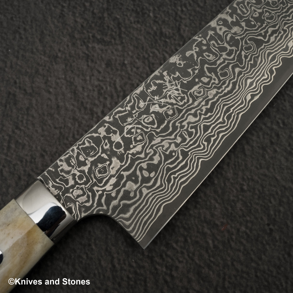Takeshi Saji SG2 Black Damascus Santoku 180mm Stag Handle