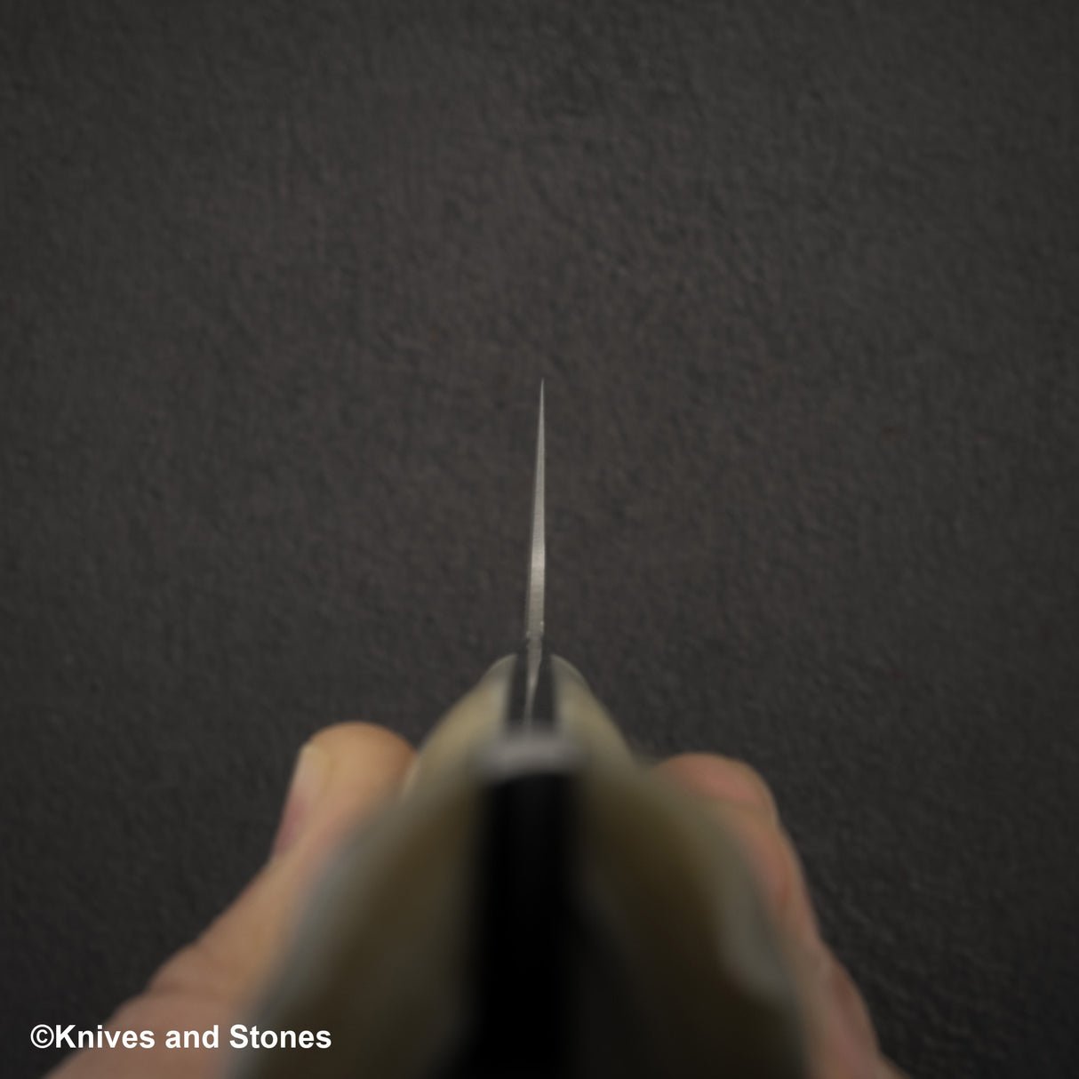 Takeshi Saji SG2 Black Damascus Santoku 180mm Stag Handle