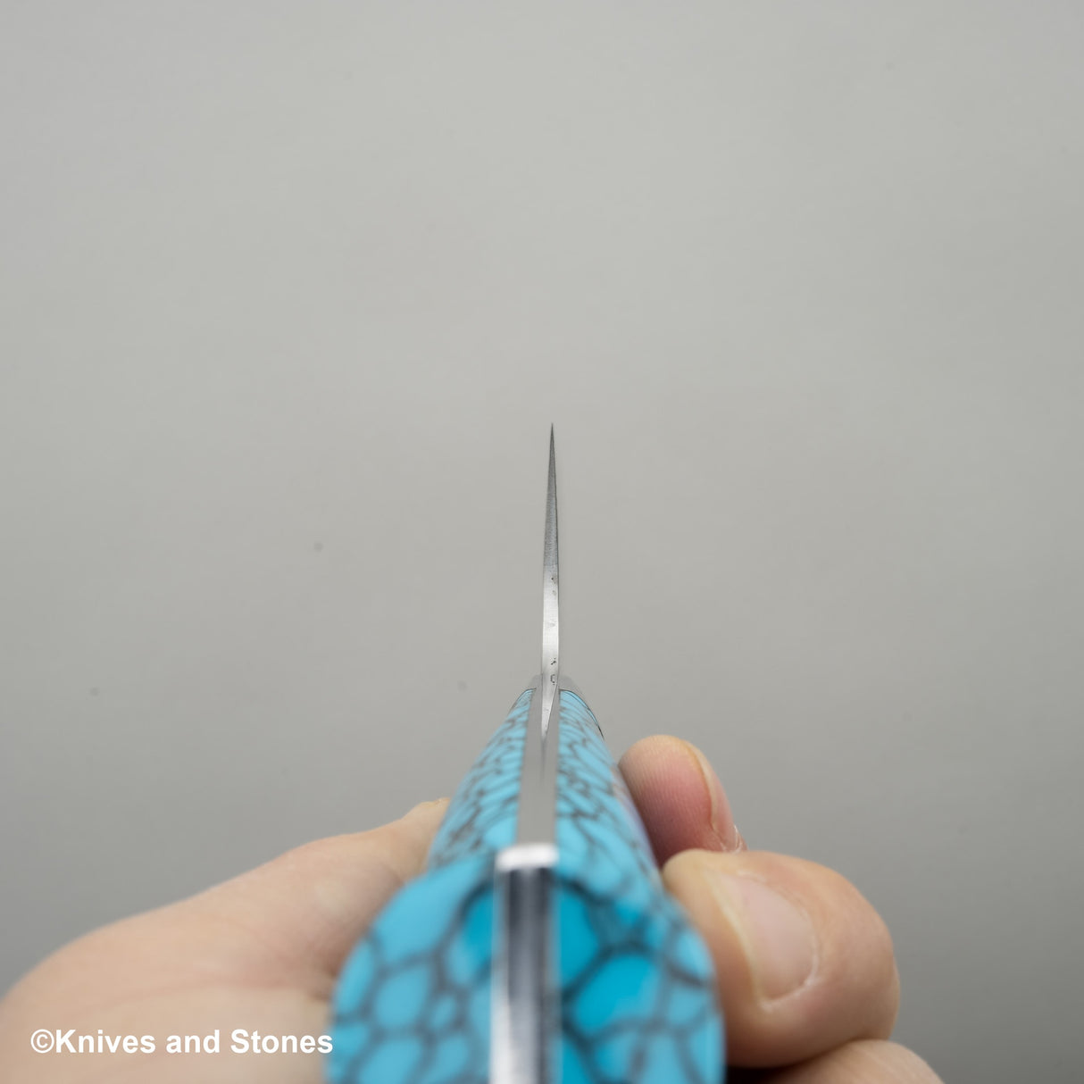 Takeshi Saji SG2 鑽石大馬士革刀 240 毫米野村風格綠松石手柄