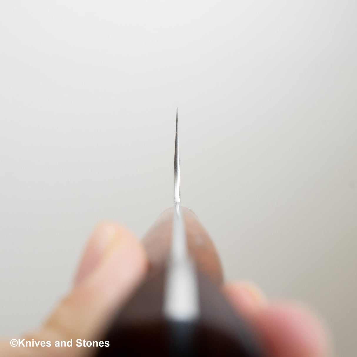 Takeshi Saji SRS13 Santoku 180mm 西式 Amboyna 手柄