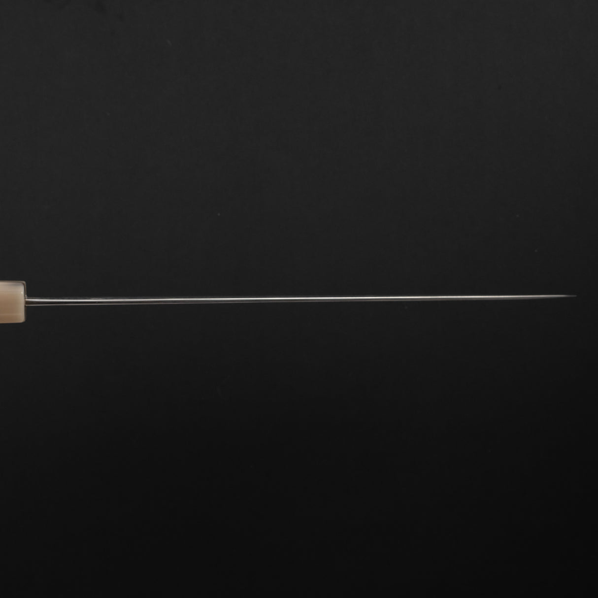 Tanaka Habakiri SG2 Damascus Sujihiki 240mm with Saya