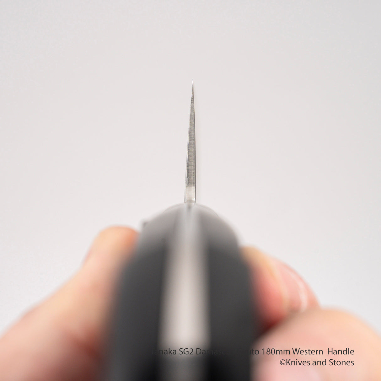 Tanaka SG2 大馬士革牛刀 180 毫米西式刀柄