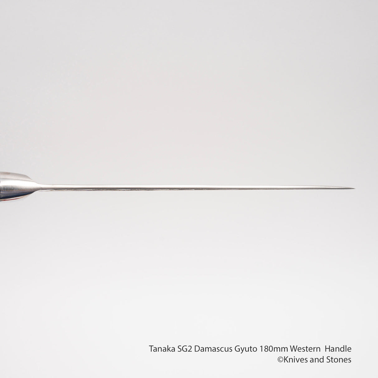 Tanaka SG2 大馬士革牛刀 180 毫米西式刀柄