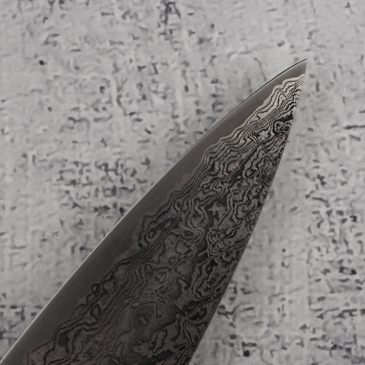 田中羽切 SG2 大馬士革筋引 210mm