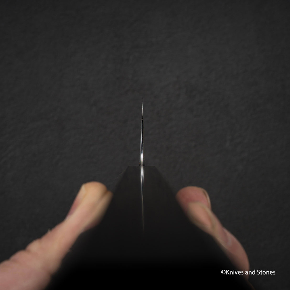 Tetsujin Blue 2 Kasumi Gyuto 210mm 烏木手柄