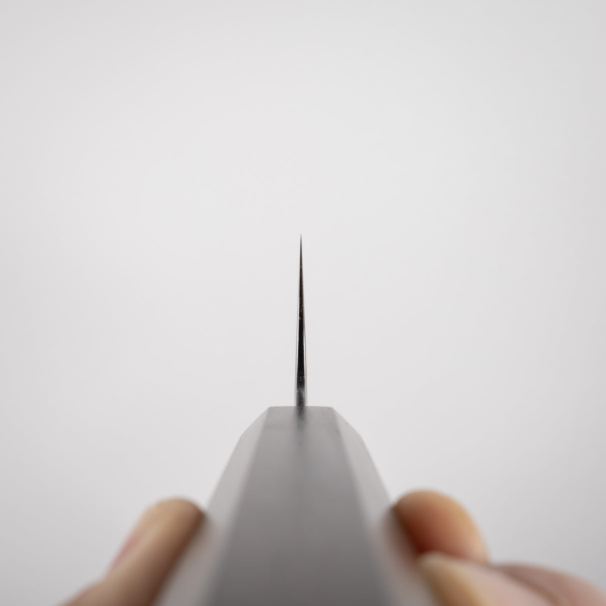 Tetsujin Blue 2 Kasumi K-tip Gyuto 210mm 烏木手柄