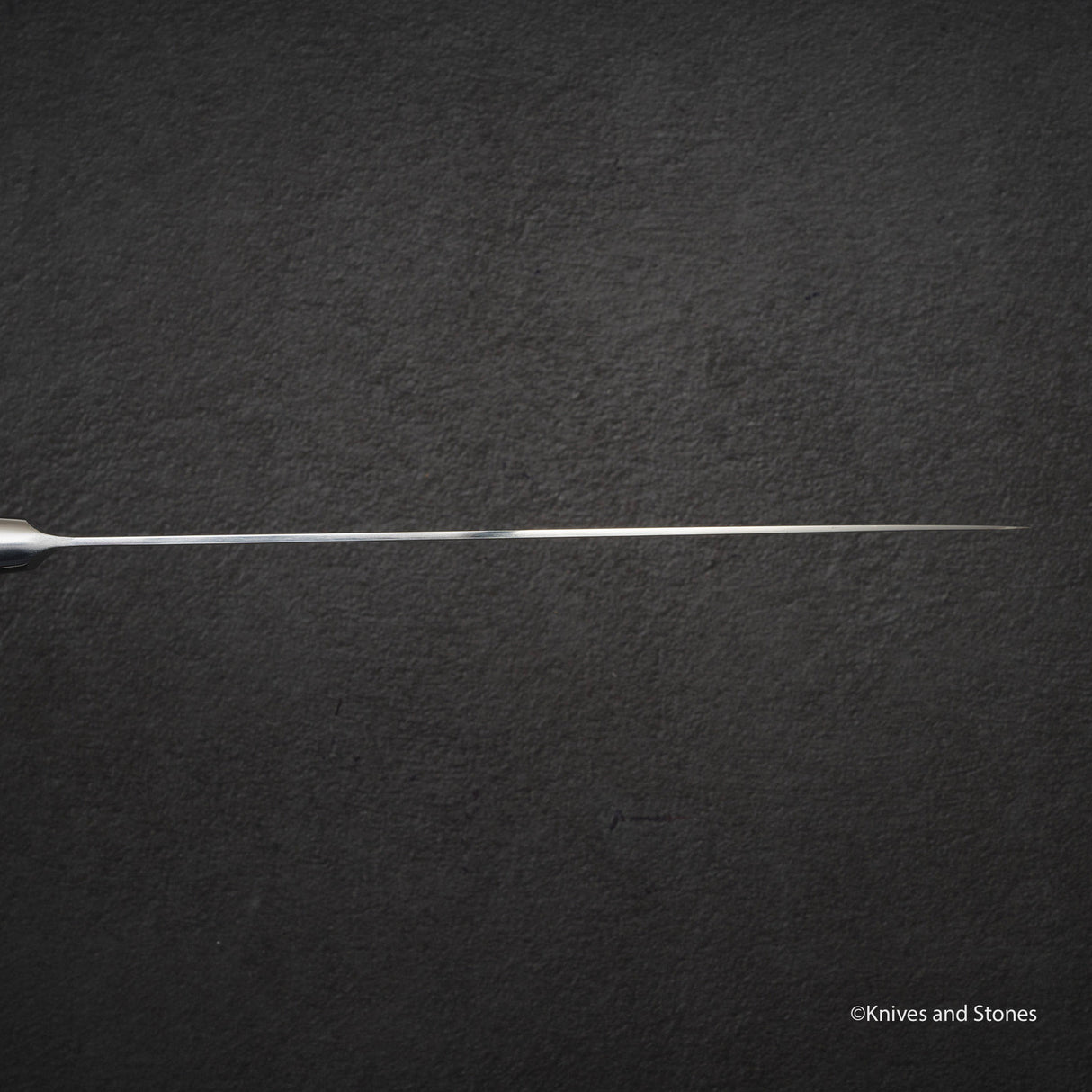 Tojiro SG2 粉末鋼 Gyuto 240 mm F-521