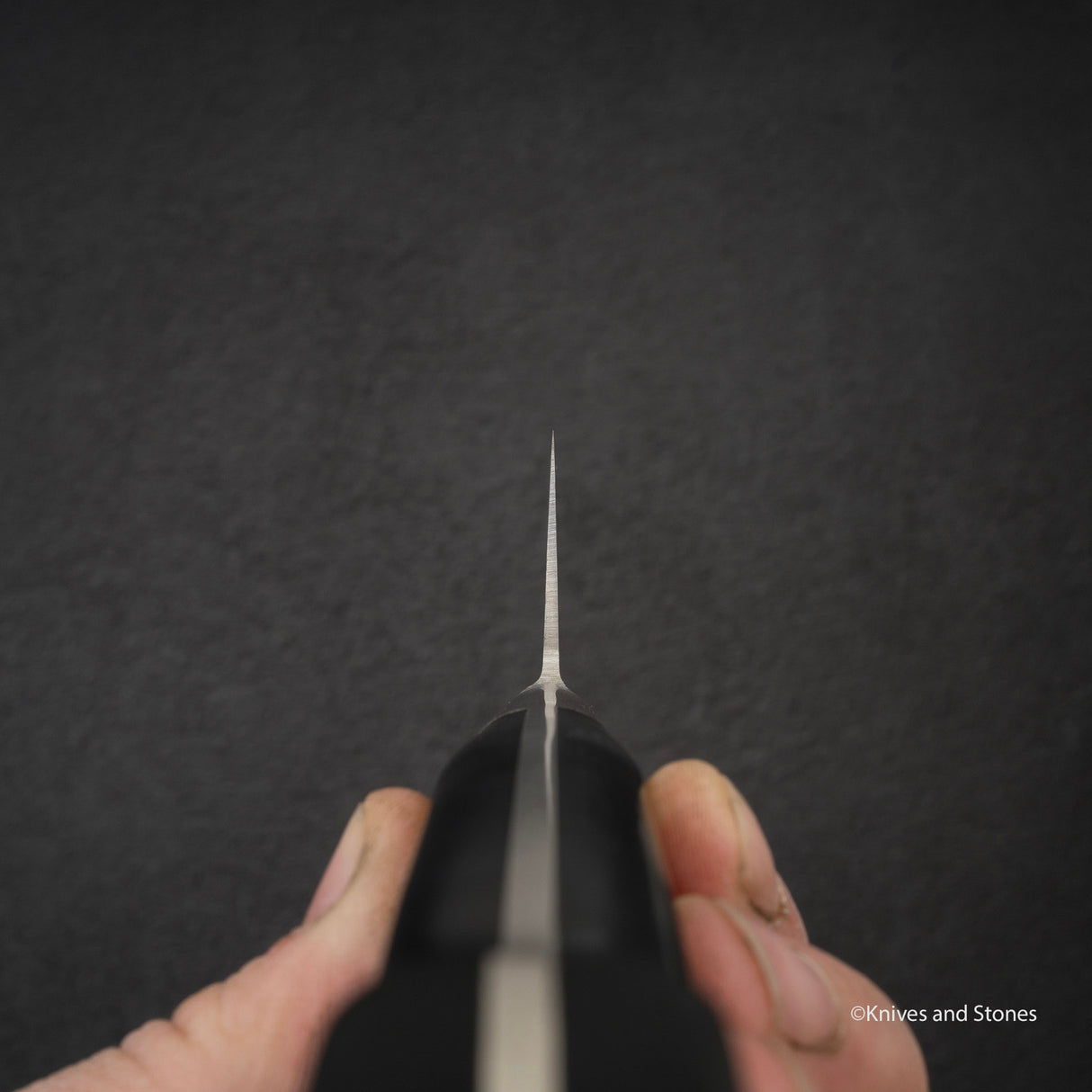 Tojiro SG2 粉末鋼 Gyuto 240 mm F-521