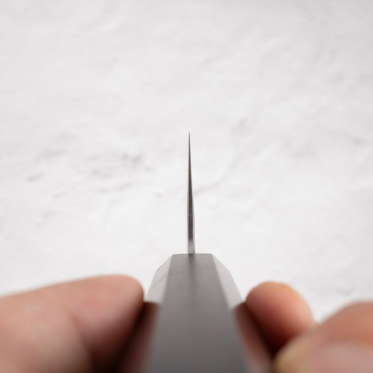 Tsunehisa White 1 不銹鋼包覆 Tsuchime Gyuto 240 毫米黑檀木手柄