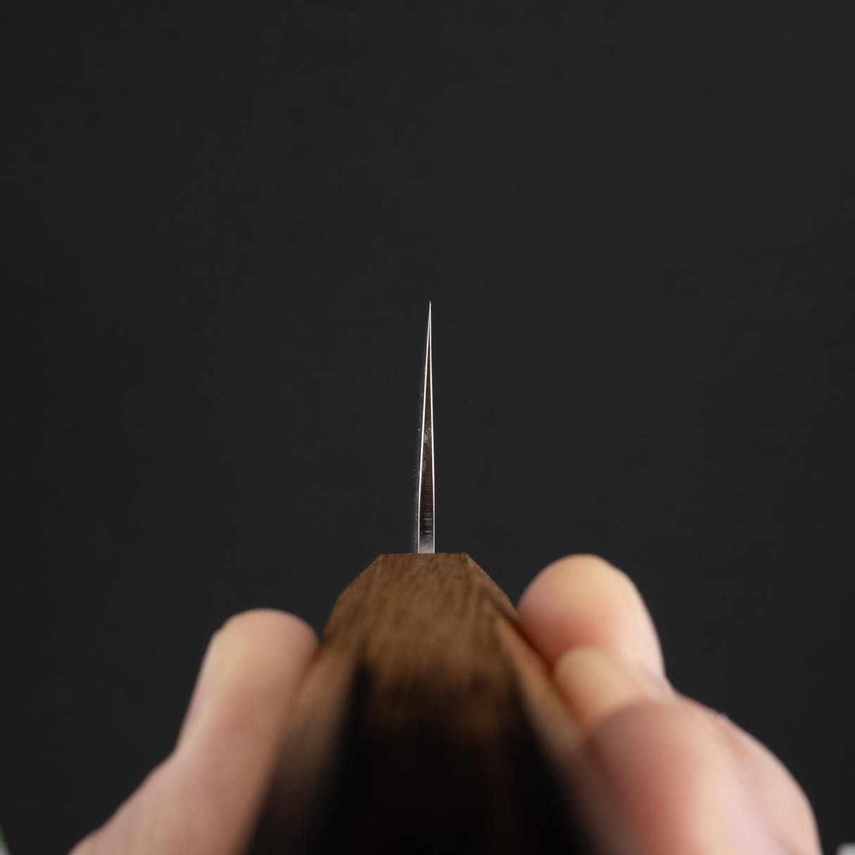 Tsunehisa SLD Washiji Gyuto 210mm 燒肉卡西