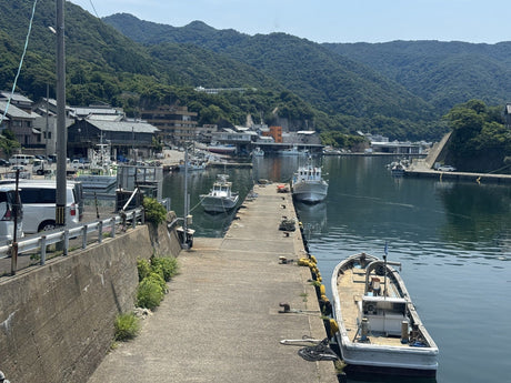 The harbour beside our lunch stop on the Echizen coast.