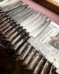 372966241 803336098461635 6188346667456347533 n