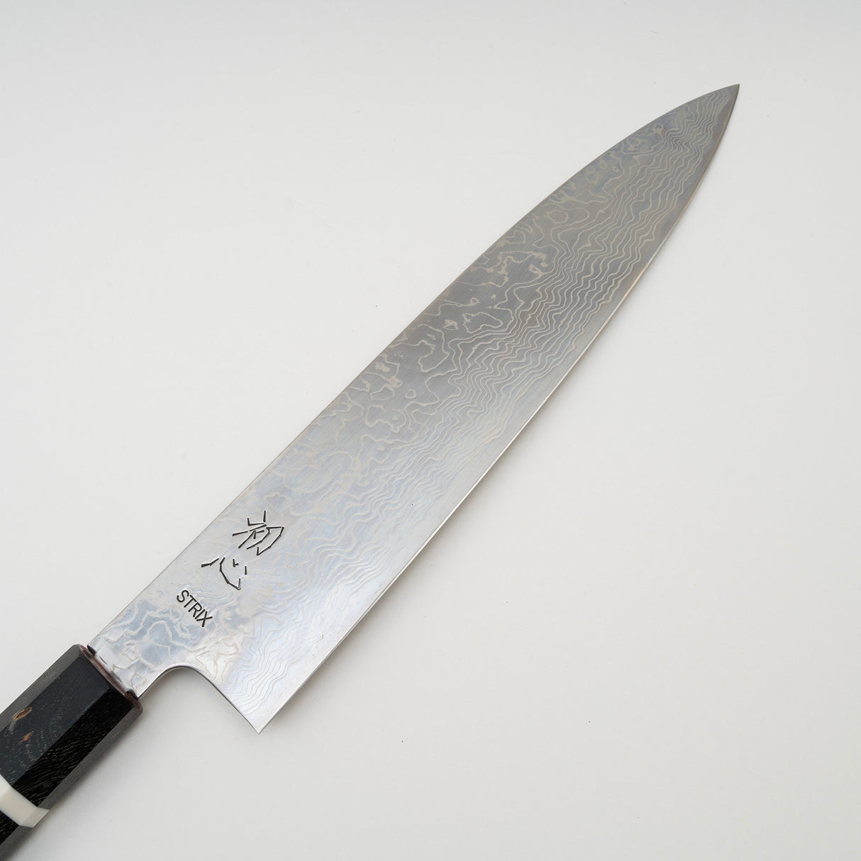 Hatsukokoro STRIX Damascus Gyuto 240mm