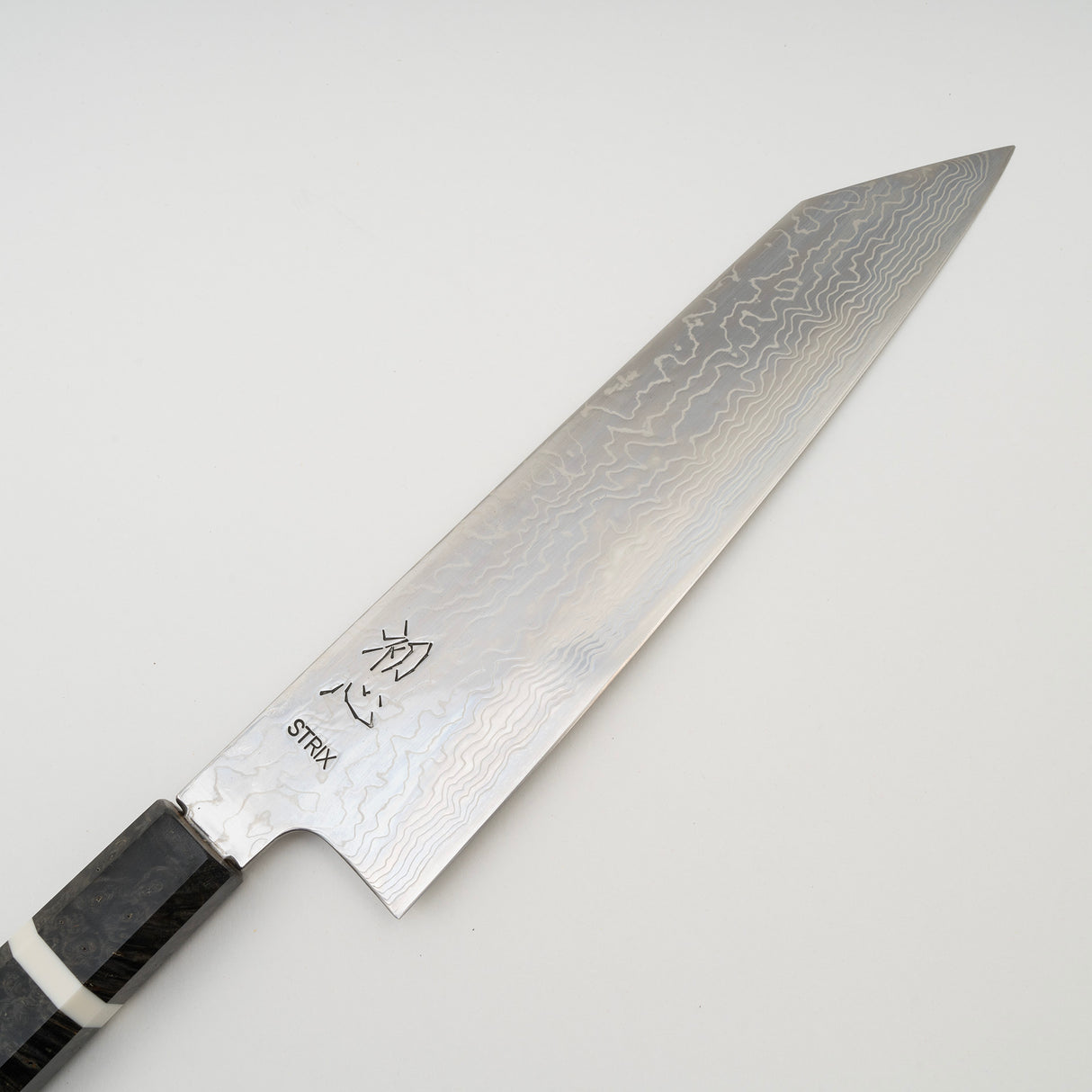 Hatsukokoro STRIX K-Tip Damascus Gyuto 210mm