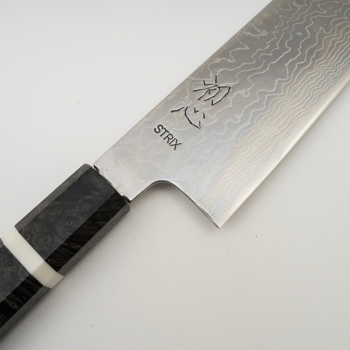 Hatsukokoro STRIX K-Tip Damascus Gyuto 210mm