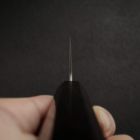 Tsunehisa Ginsan Nashiji Gyuto 210mm Ebony Handle