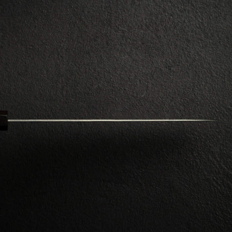Tsunehisa Ginsan Nashiji Gyuto 210mm Ebony Handle