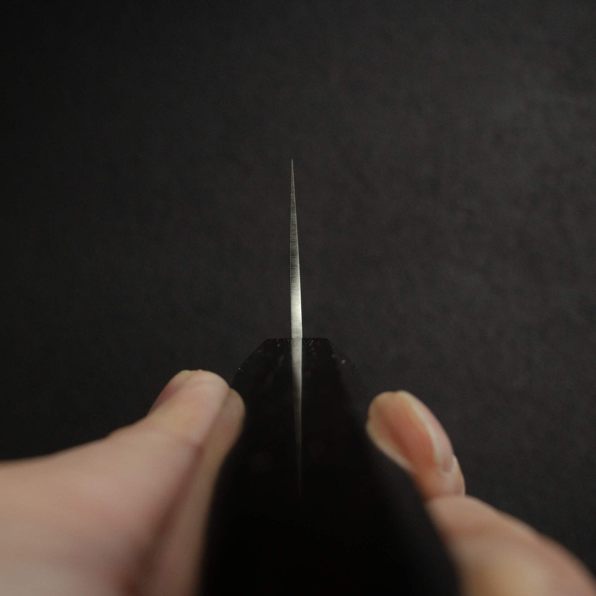 Hatsukokoro Hayabusa Chromax Gyuto 240mm, Ebony Handle