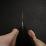 Hatsukokoro Hayabusa Chromax Gyuto 240mm, Ebony Handle