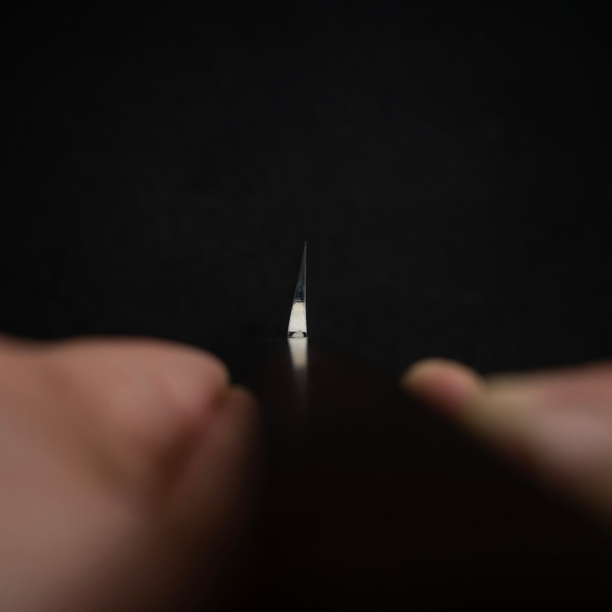 Takayuki Hienn VG10 Honyaki - Yanagiba 300mm with Saya