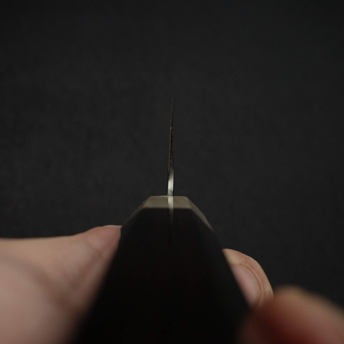 Tetsujin Ginsan Tanryusen (Metal Flow) K-Tip Gyuto 210mm w/ Saya
