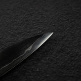 Tetsujin Tanryusen (Metal Flow) Blue 2 Sujihiki 240mm