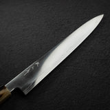 Tetsujin Tanryusen (Metal Flow) Blue 2 Sujihiki 240mm
